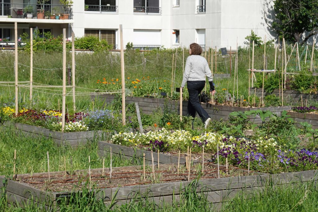 Ferme urbaine à Paris