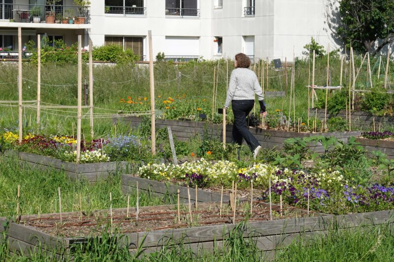 Ferme urbaine à Paris